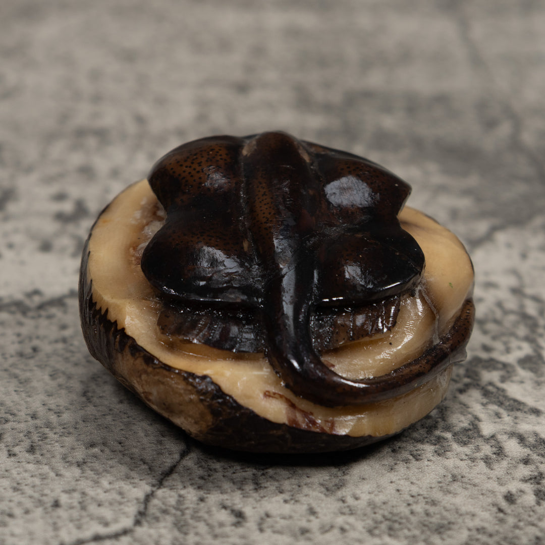 Vintage Stingray Tagua Carving