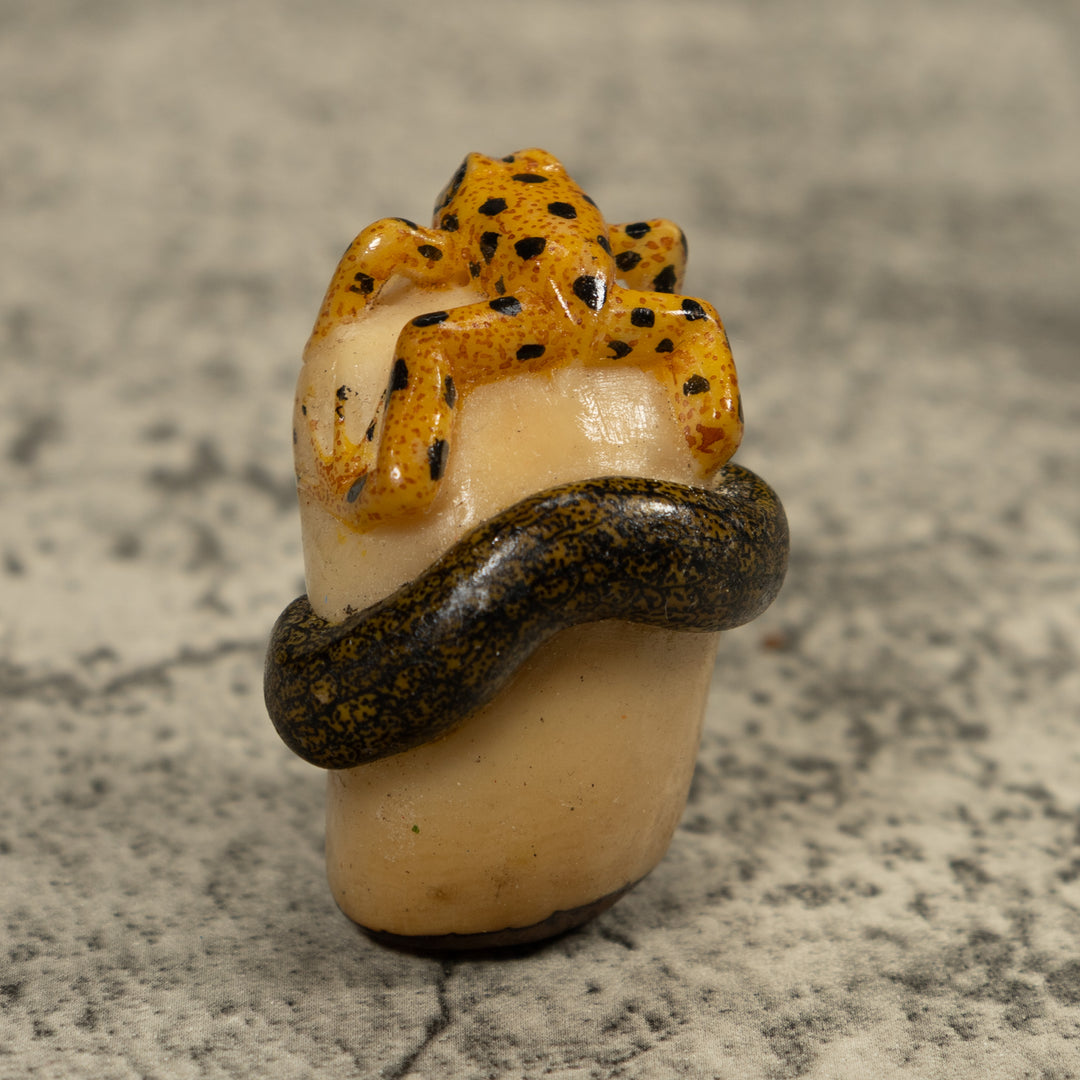 Golden Frog And Snake Tagua Carving