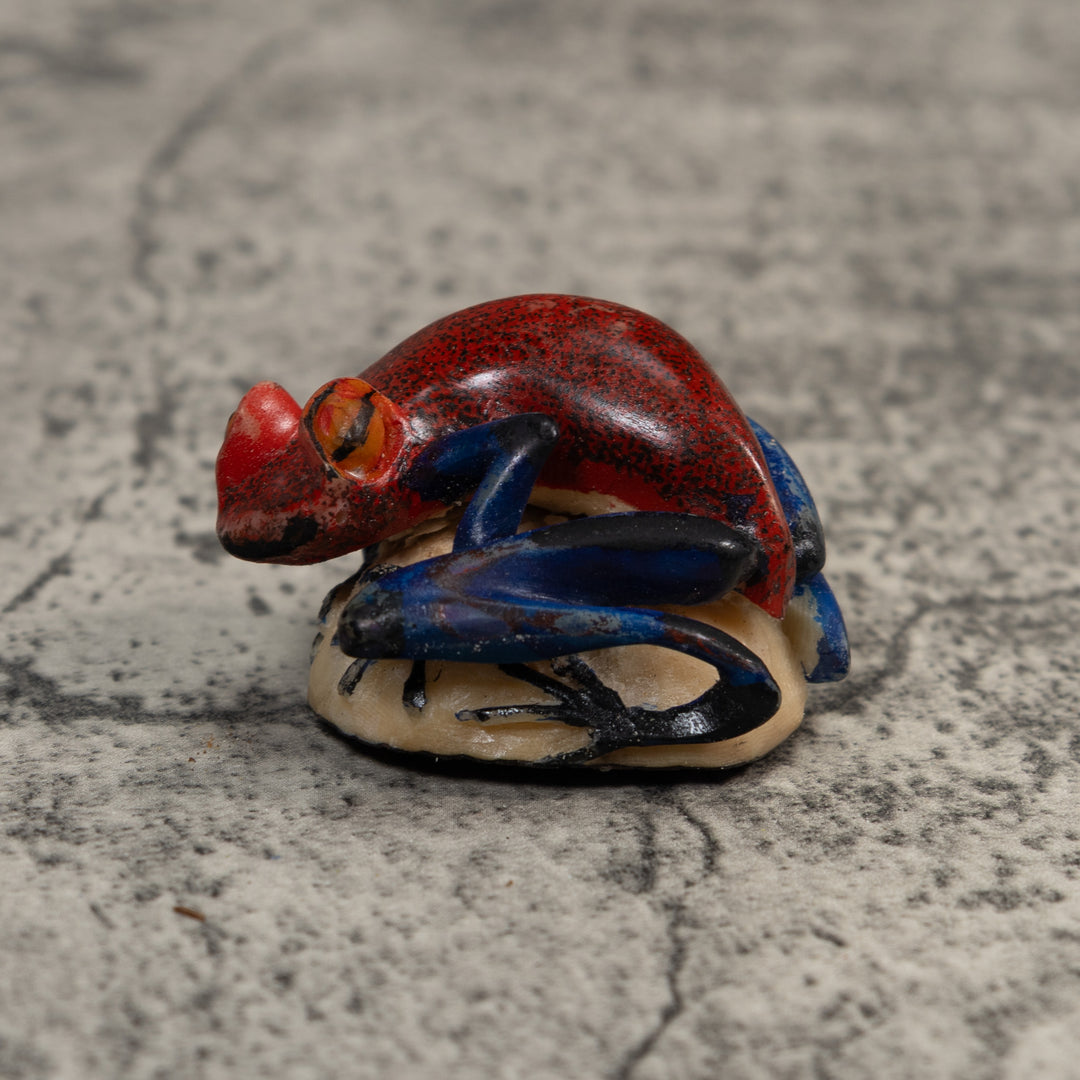 Red And Blue Poison Dart Frog Tagua Carving