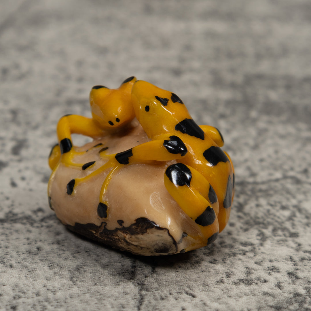 Vintage Double Golden Frog Tagua Carving