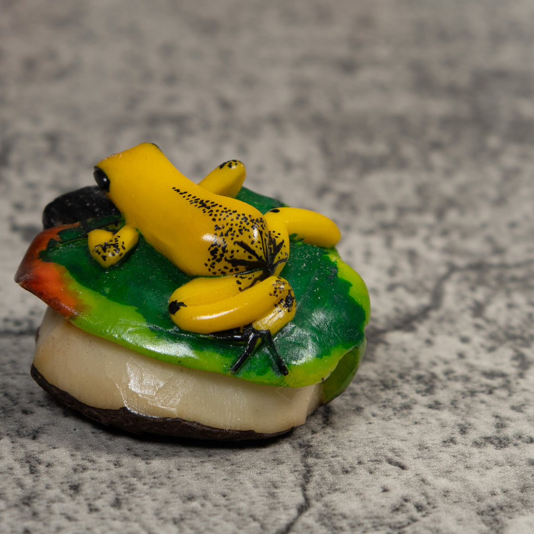 Yellow Green And Red Jungle Frog Tagua Carving