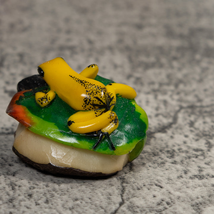Yellow Green And Red Jungle Frog Tagua Carving