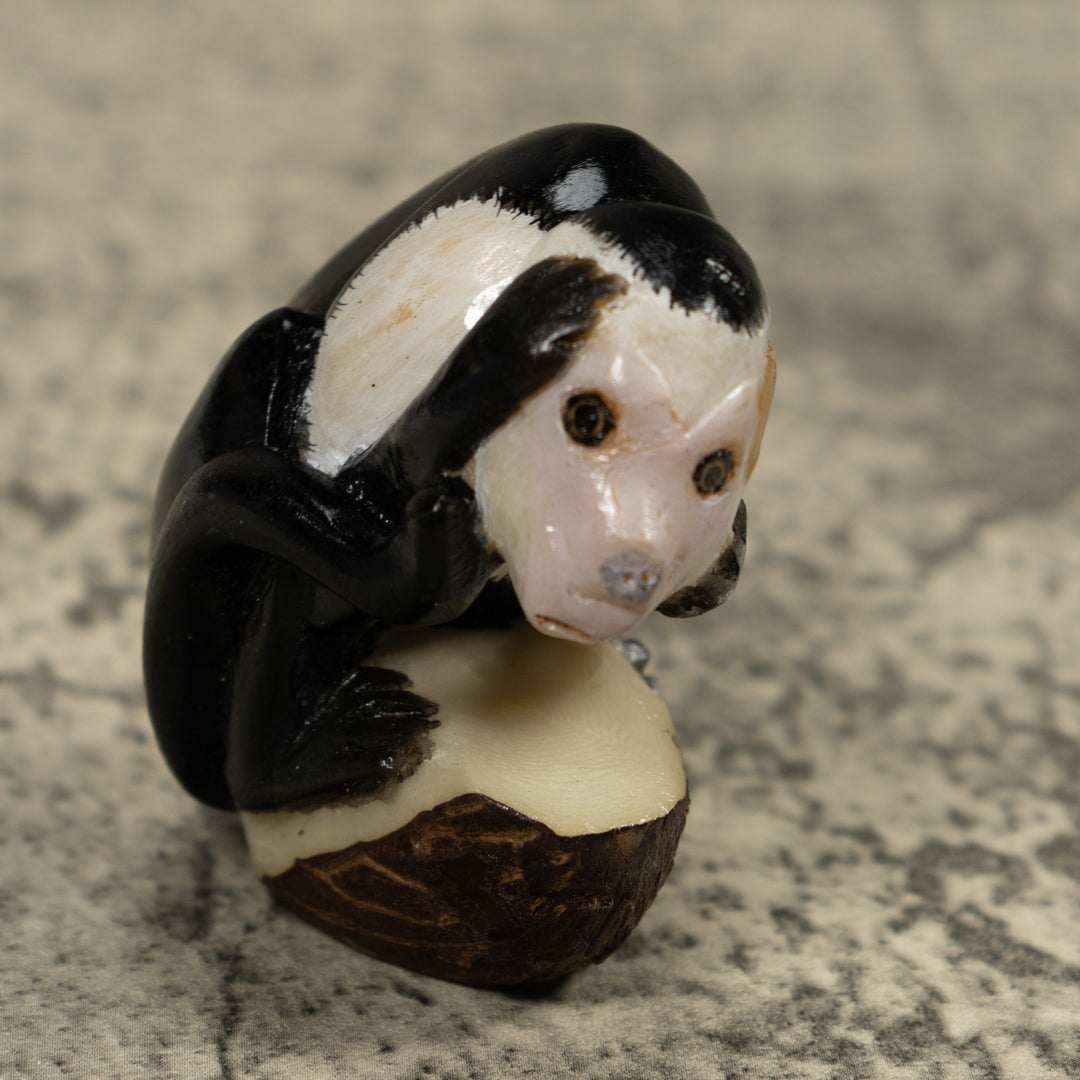 White Face Monkey Tagua Carving