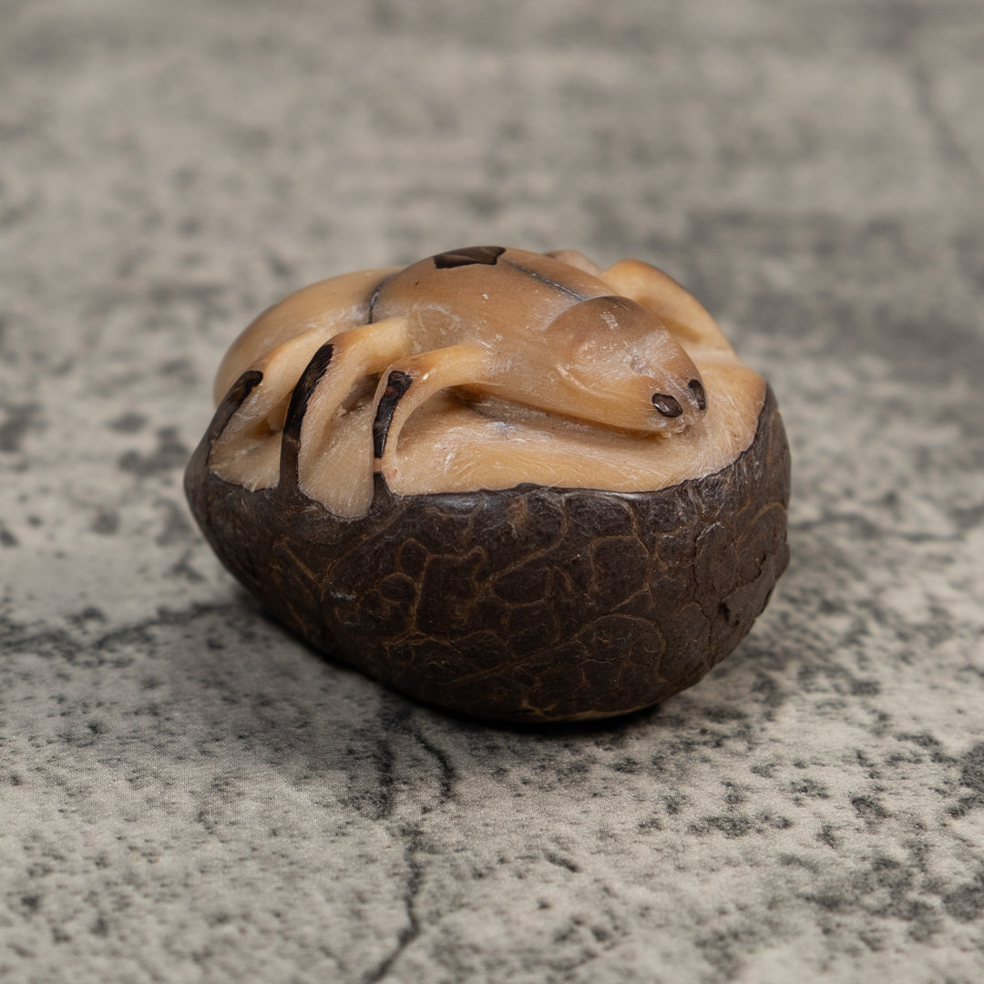 Vintage Natural White With Shuck Insect Carving