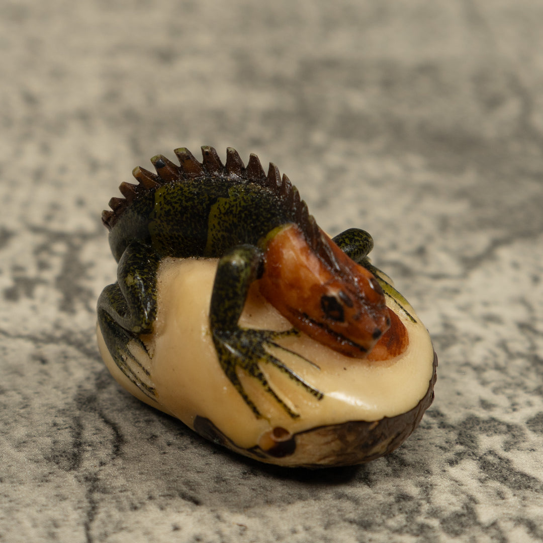 Iguana Lizard Reptile Tagua Carving