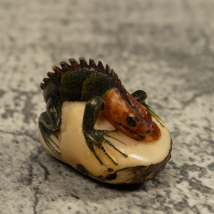 Iguana Lizard Reptile Tagua Carving