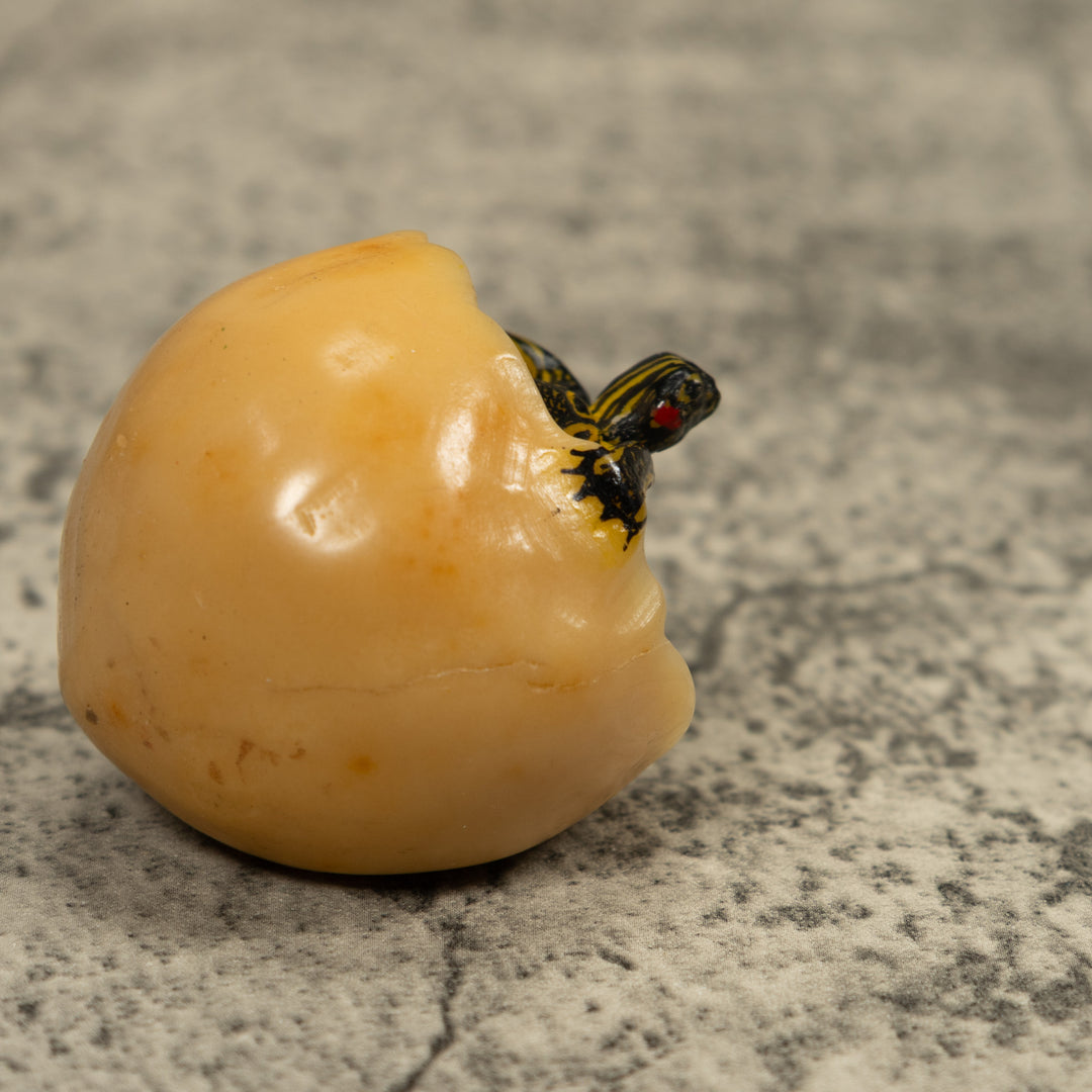 Turtle And Egg Tagua Carving