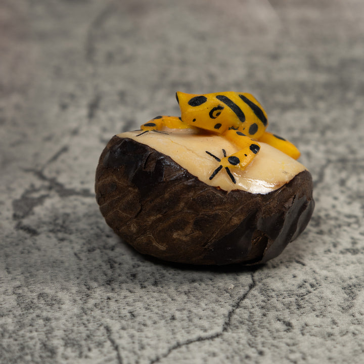 Black And Gold Poison Dart Frog Tagua Carving