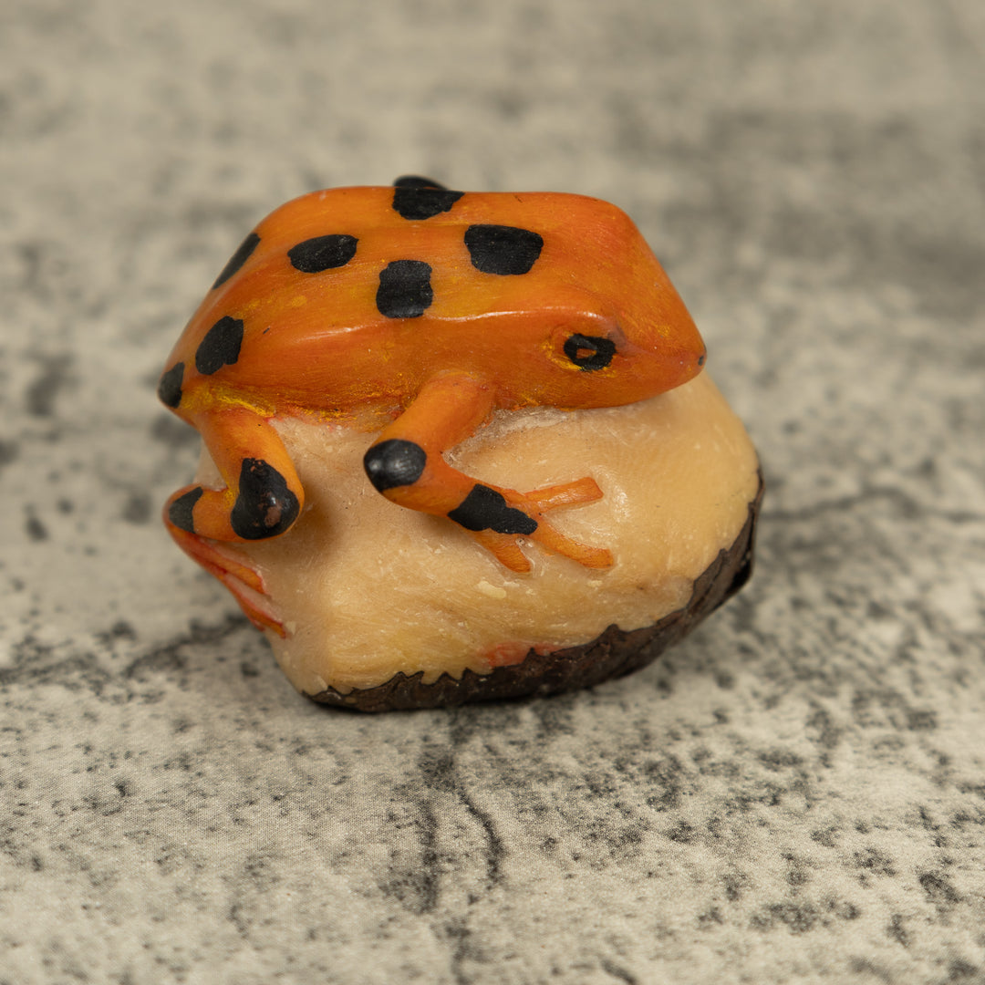 Vintage Gold And Black Frog Tagua Carving