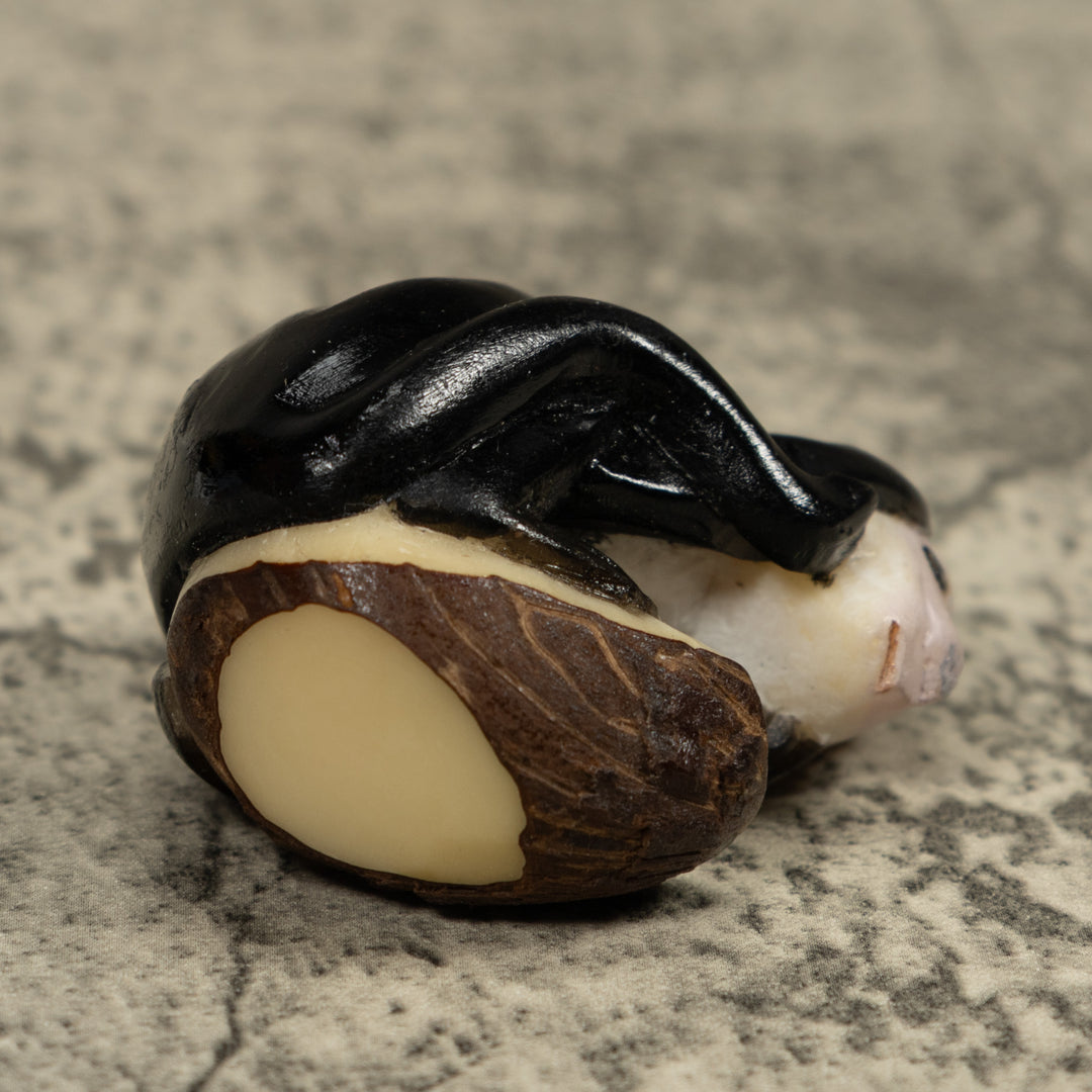 White Face Monkey Tagua Carving