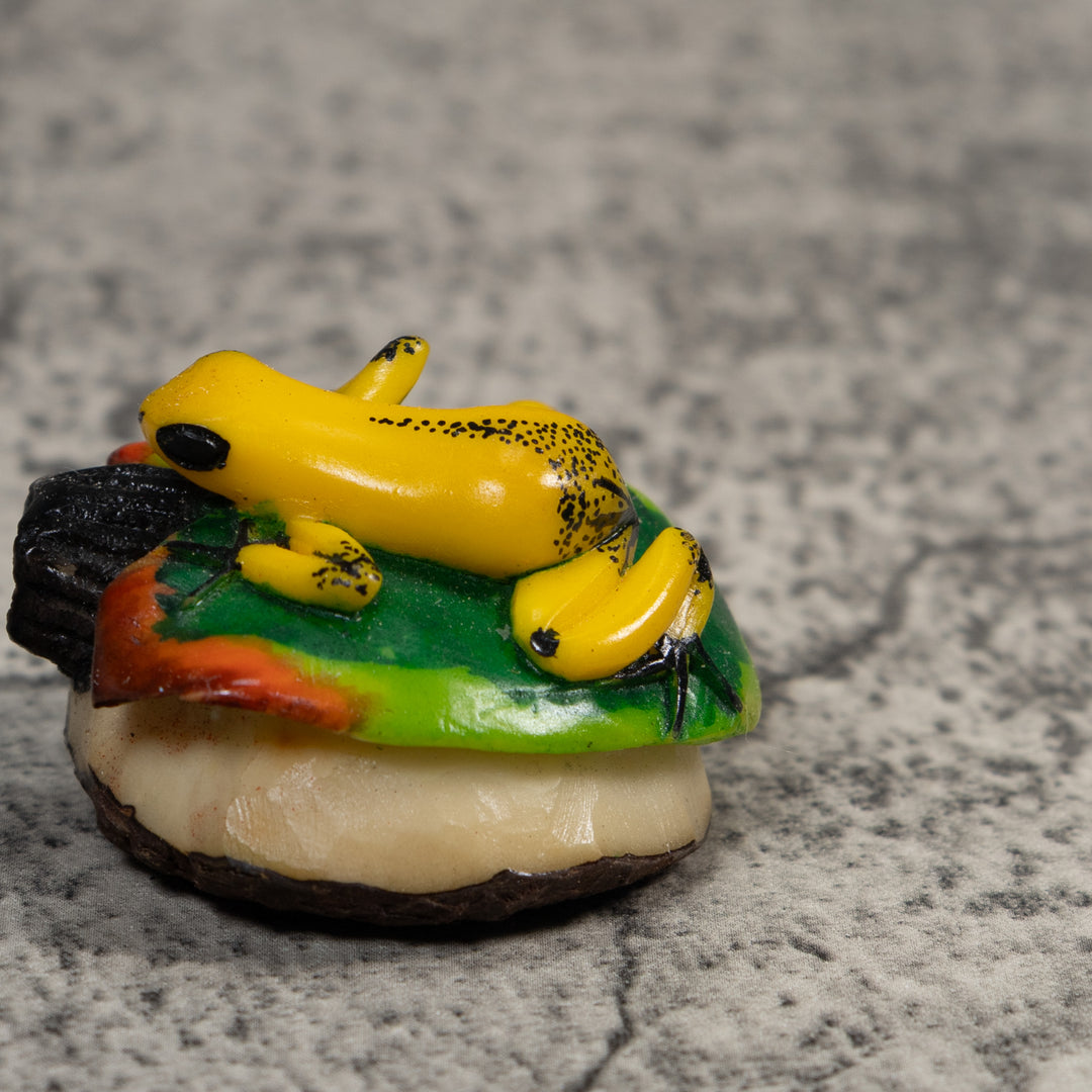 Yellow Green And Red Jungle Frog Tagua Carving