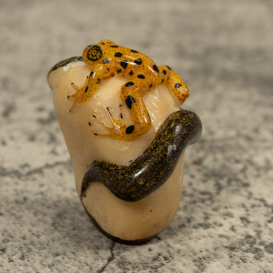 Golden Frog And Snake Tagua Carving