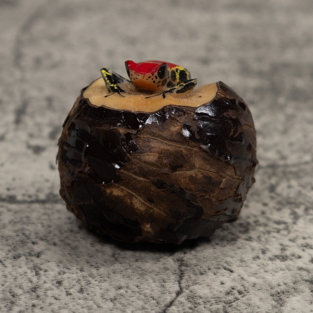 Poison Dart Frog Tagua Carving