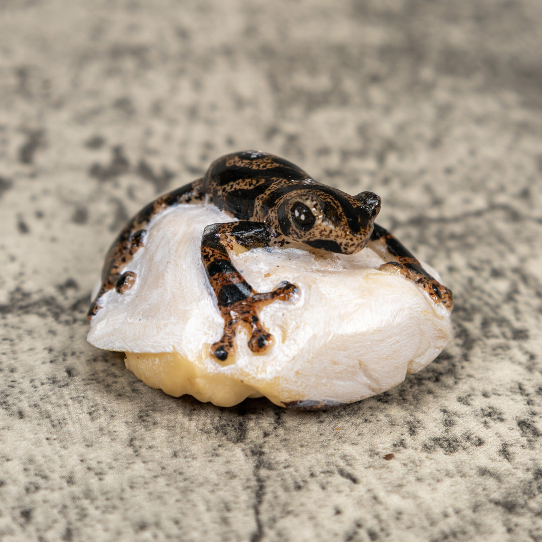 Black And Gold Poison Dart Frog Tagua Carving