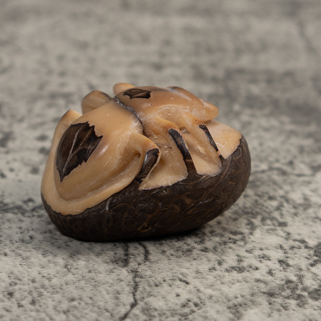 Vintage Natural White With Shuck Insect Carving