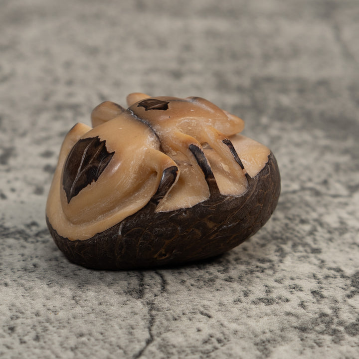 Vintage Natural White With Shuck Insect Carving