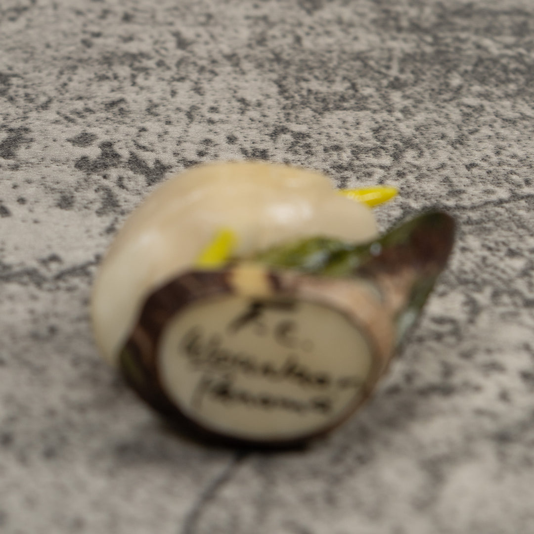 White Waterfowl Bird Tagua Carving