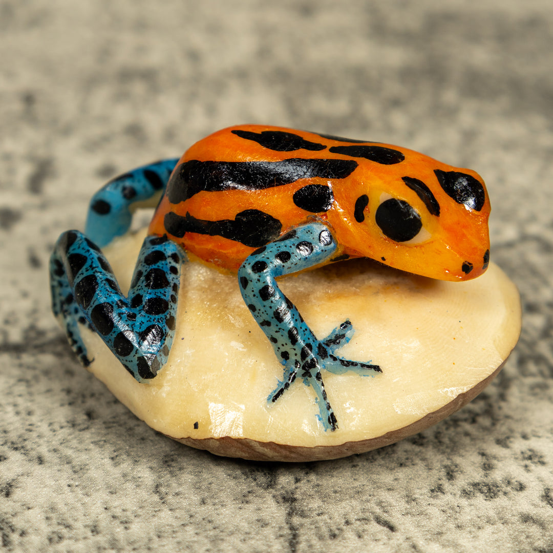 Blue Orange And Black Poison Dart Frog Tagua Carving