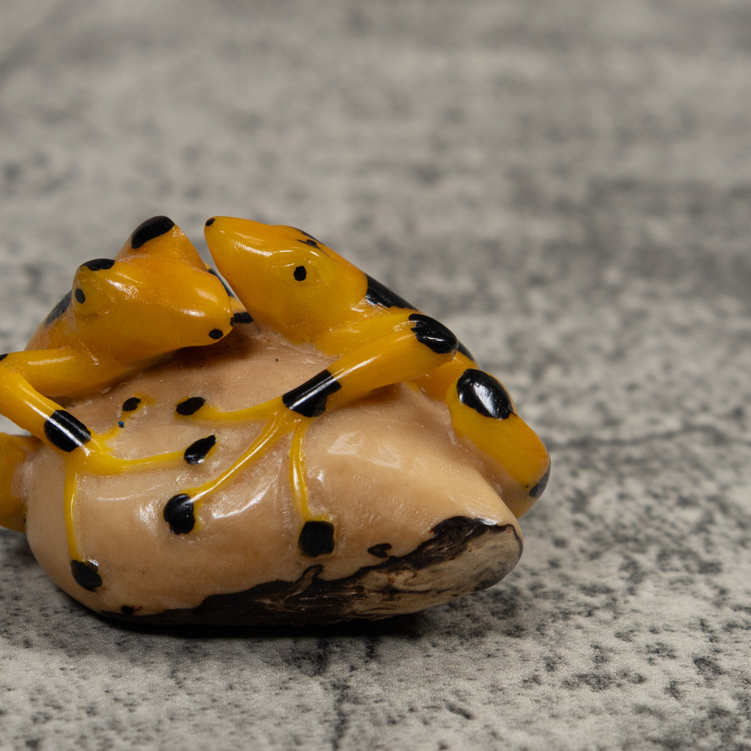 Vintage Double Golden Frog Tagua Carving