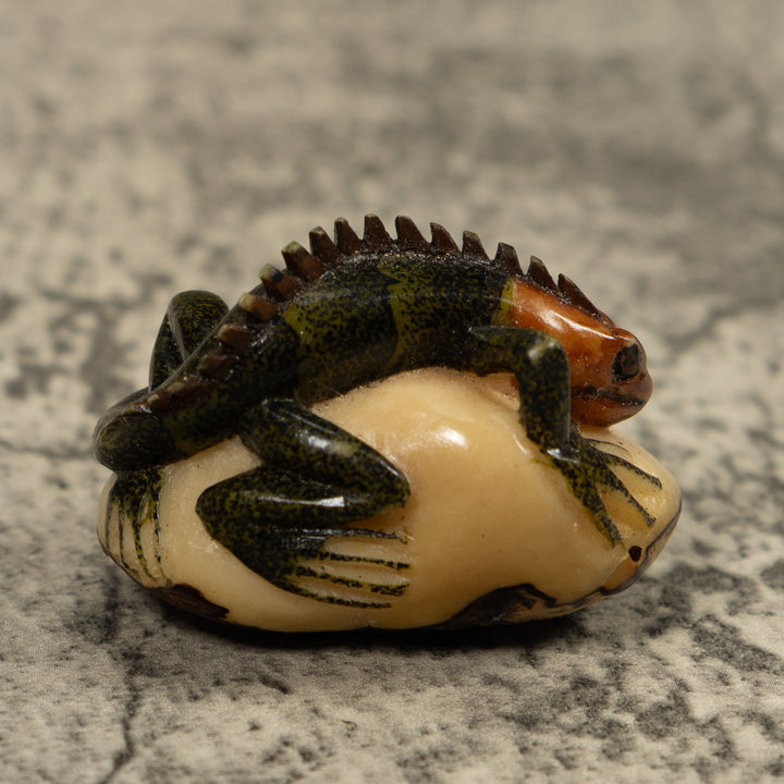 Iguana Lizard Reptile Tagua Carving
