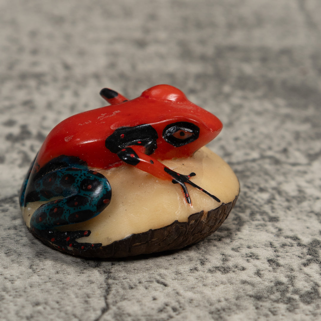 Vintage Red And Blue Poison Dart Frog Tagua Carving