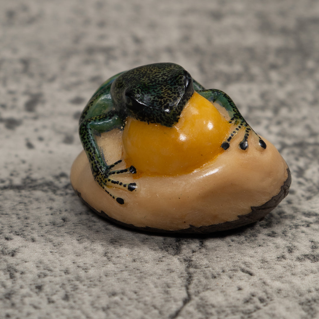 Vintage Green And Yellow Blowthroat Frog Tagua Carving