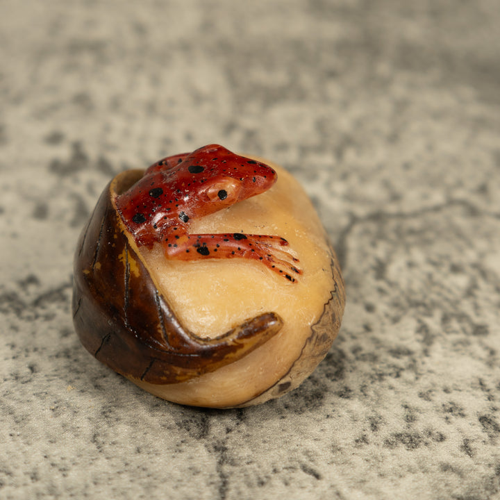 Vintage Poison Dart Frog Under Leaf Tagua Carving