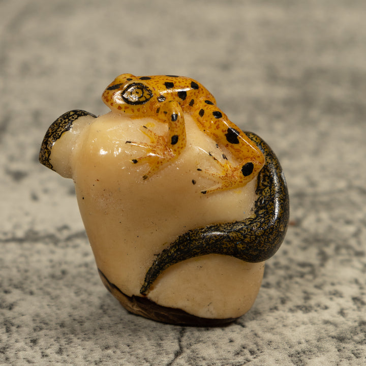 Golden Frog And Snake Tagua Carving