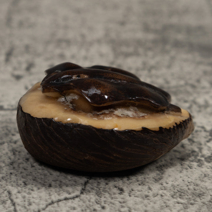 Vintage Stingray Tagua Carving