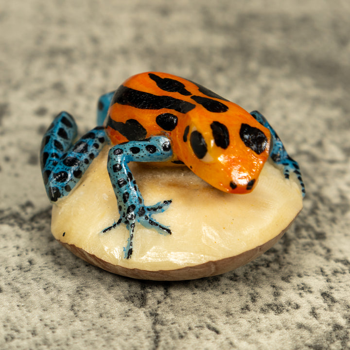 Blue Orange And Black Poison Dart Frog Tagua Carving