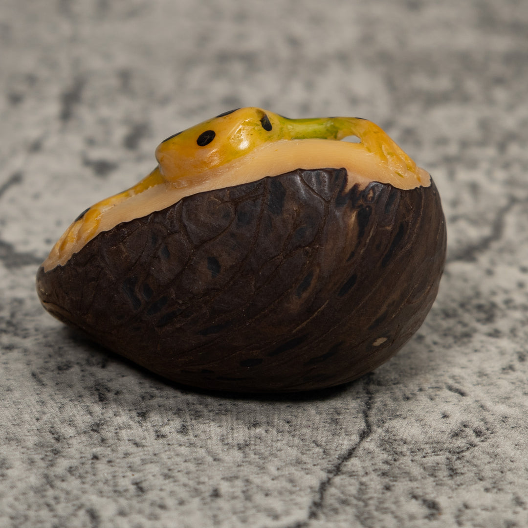 Vintage Golden Frog Tagua Carving