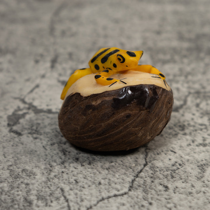 Black And Gold Poison Dart Frog Tagua Carving