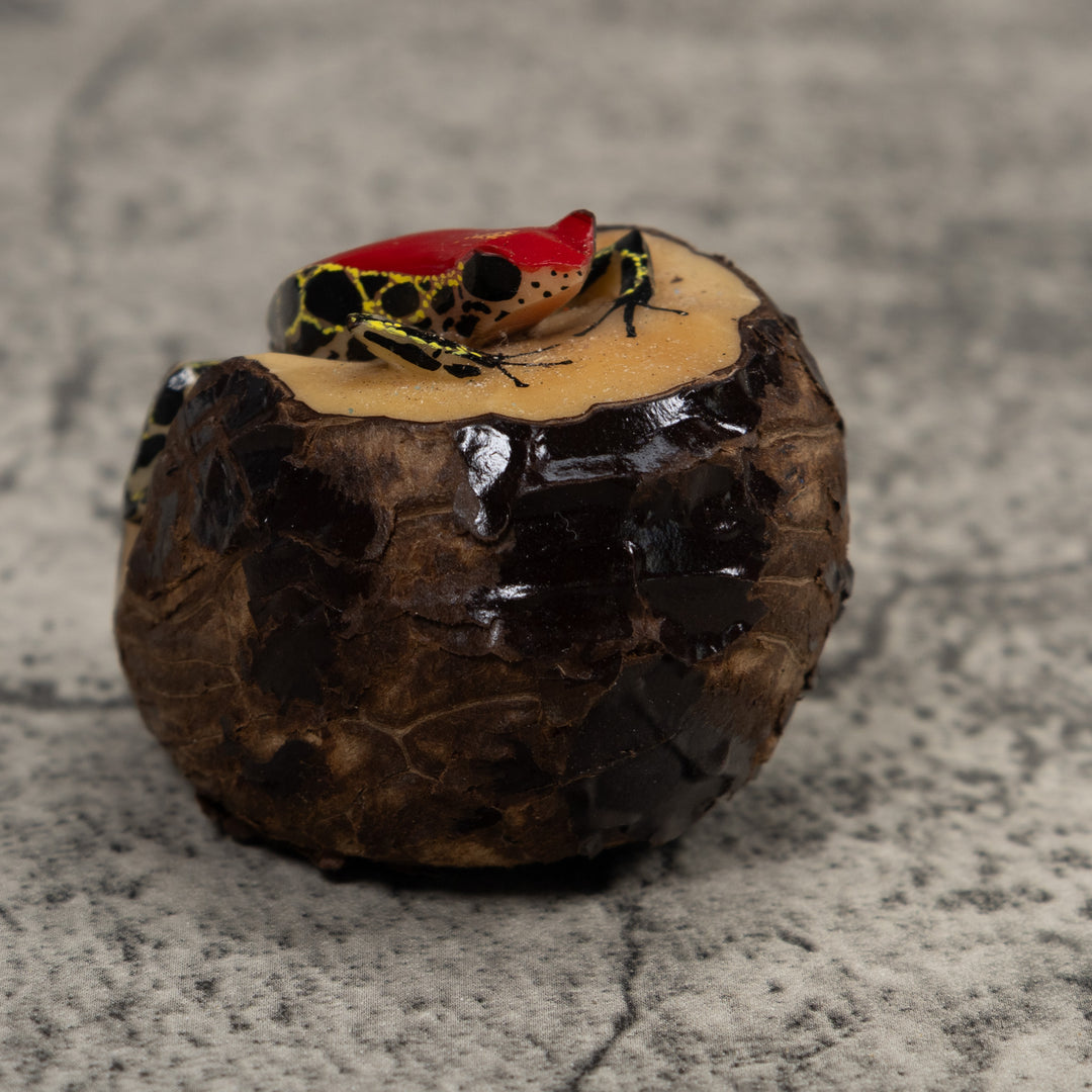 Poison Dart Frog Tagua Carving