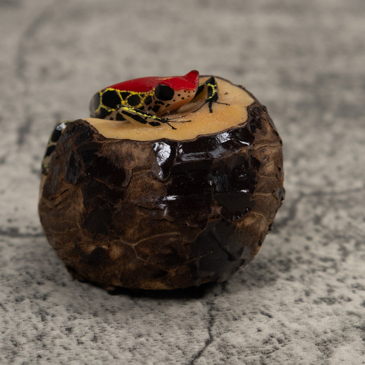 Poison Dart Frog Tagua Carving