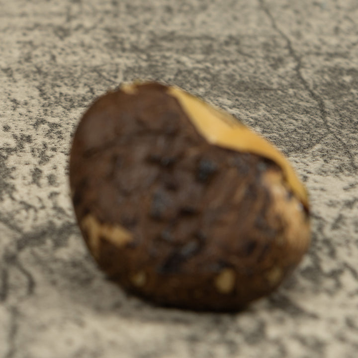 Iguana Lizard Reptile Tagua Carving