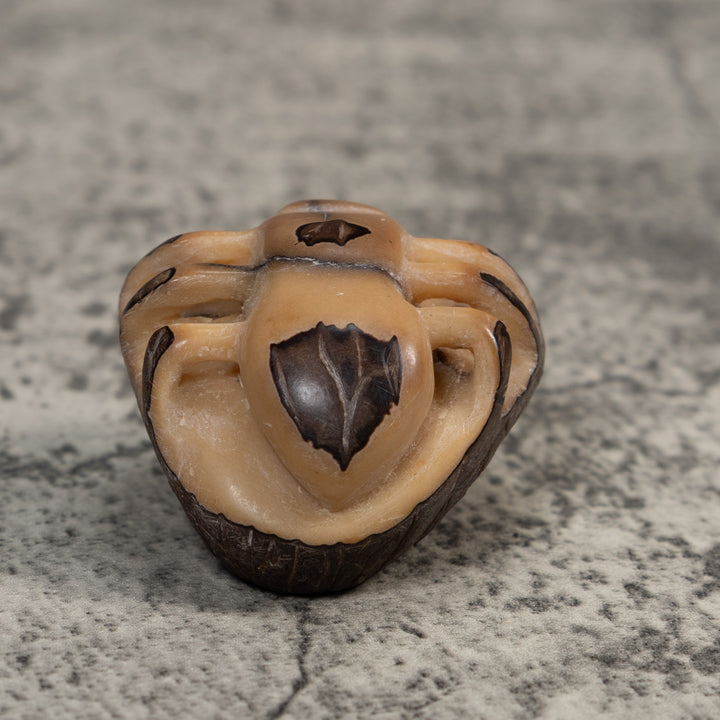 Vintage Natural White With Shuck Insect Carving