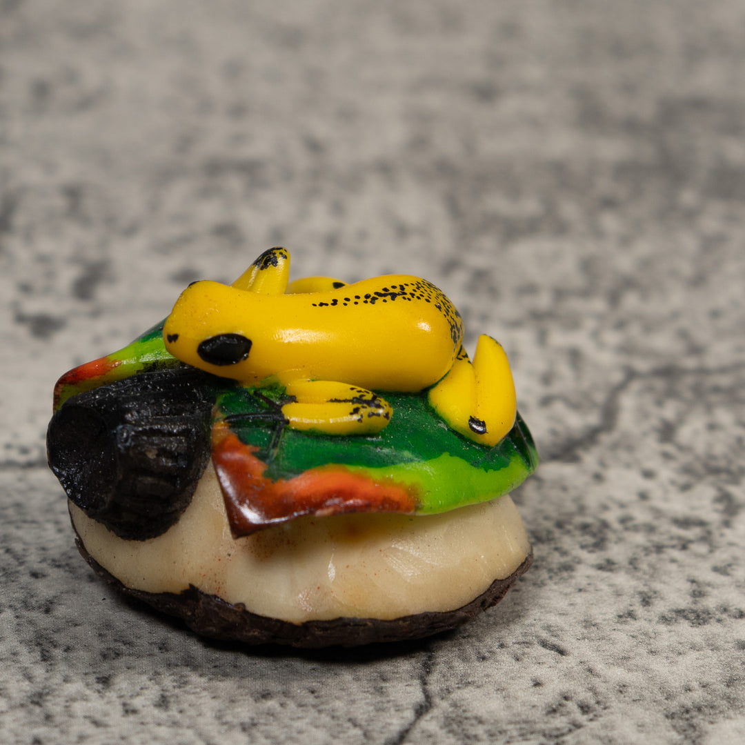 Yellow Green And Red Jungle Frog Tagua Carving