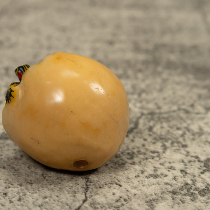 Turtle And Egg Tagua Carving