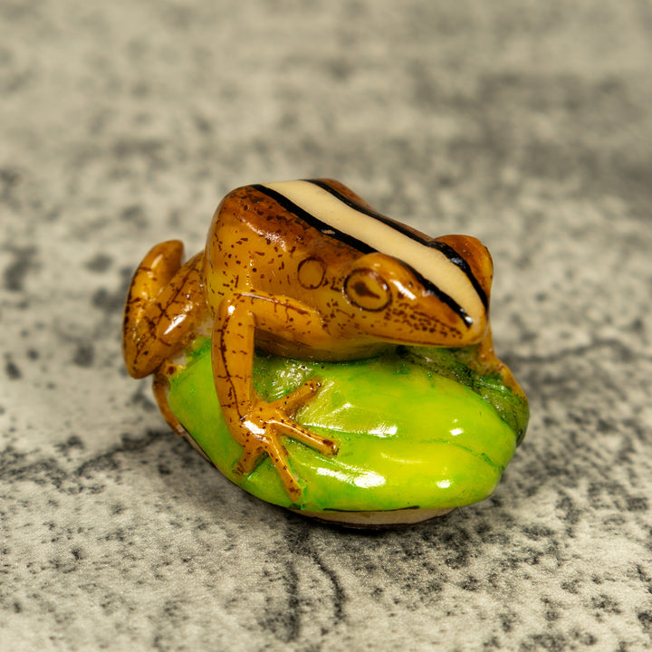 Brown Beige And Black Rainforest Frog Tagua Carving