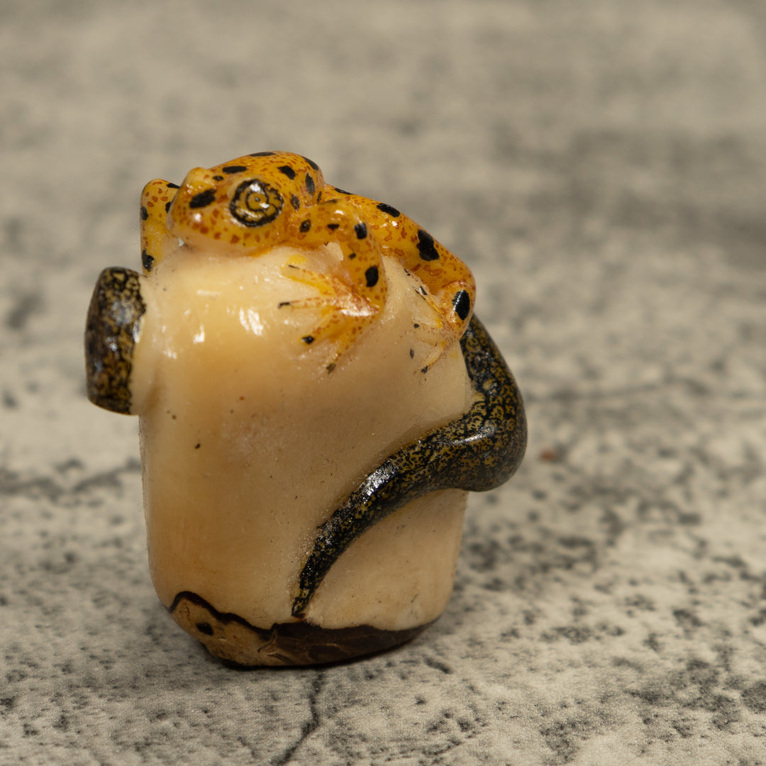 Golden Frog And Snake Tagua Carving