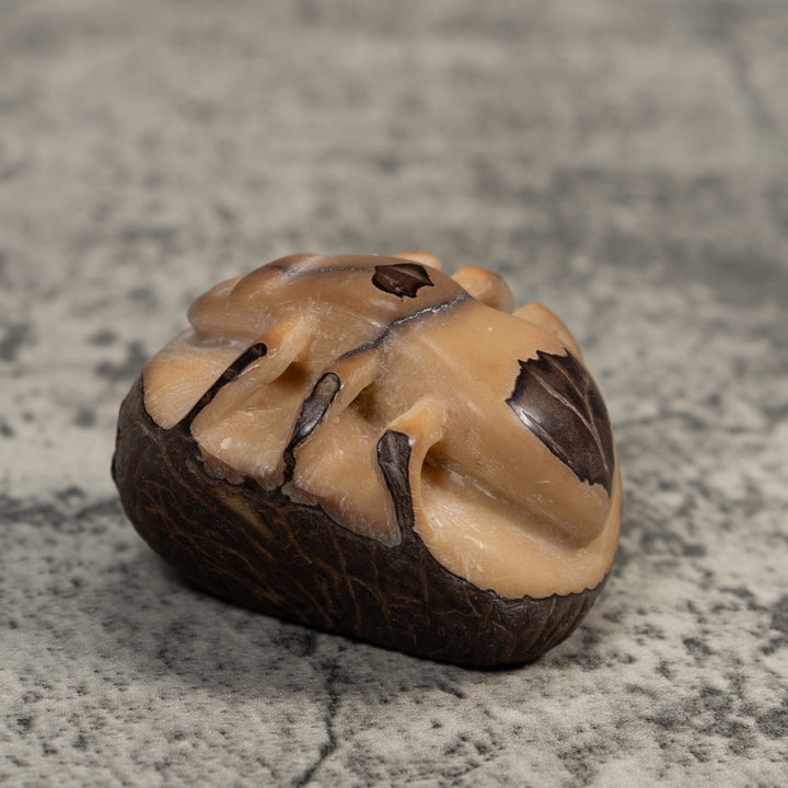 Vintage Natural White With Shuck Insect Carving