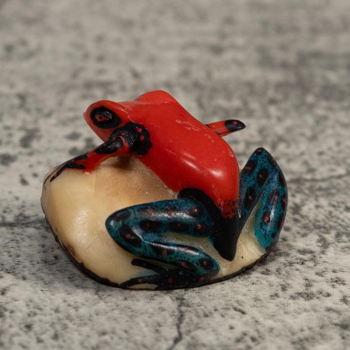 Vintage Red And Blue Poison Dart Frog Tagua Carving