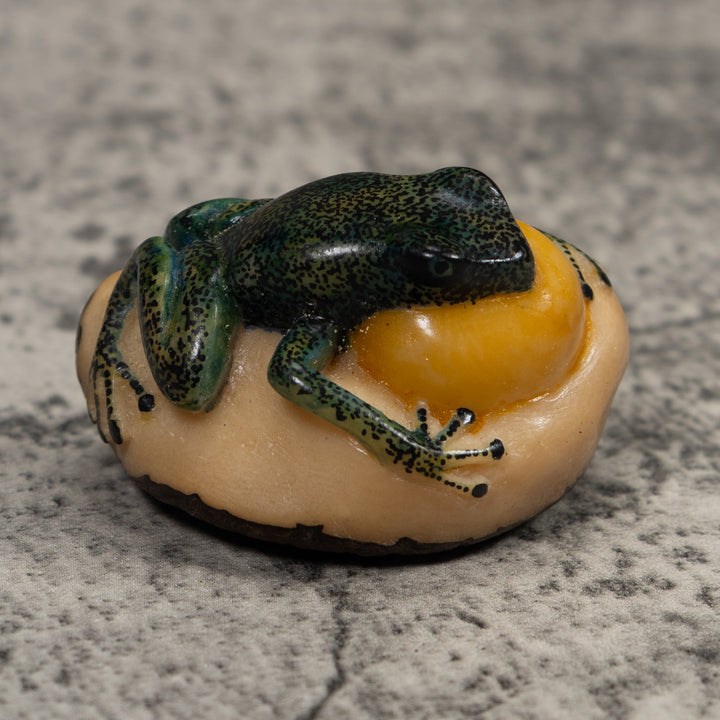 Vintage Green And Yellow Blowthroat Frog Tagua Carving