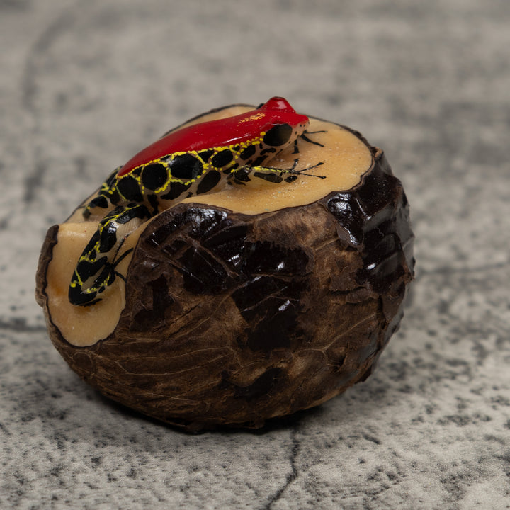 Poison Dart Frog Tagua Carving