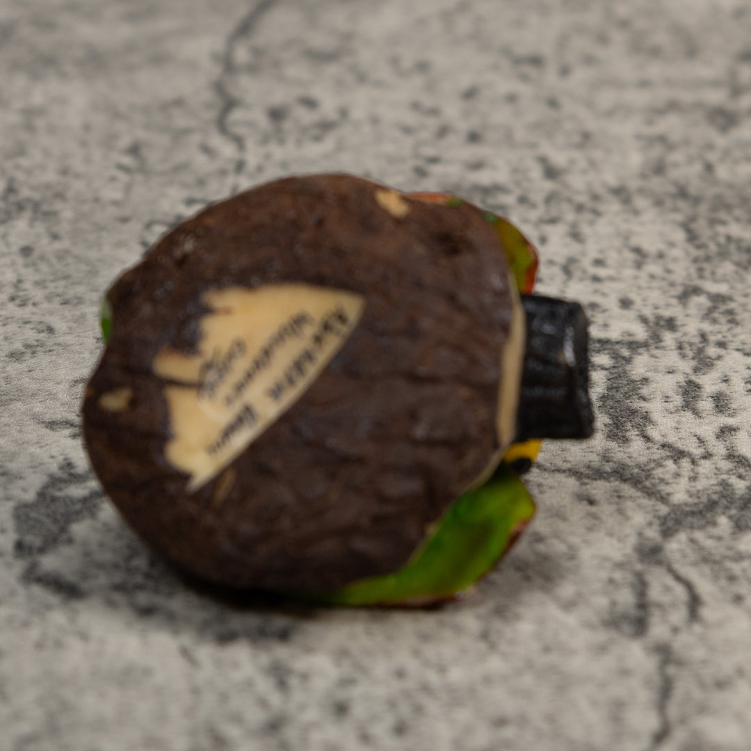 Yellow Green And Red Jungle Frog Tagua Carving