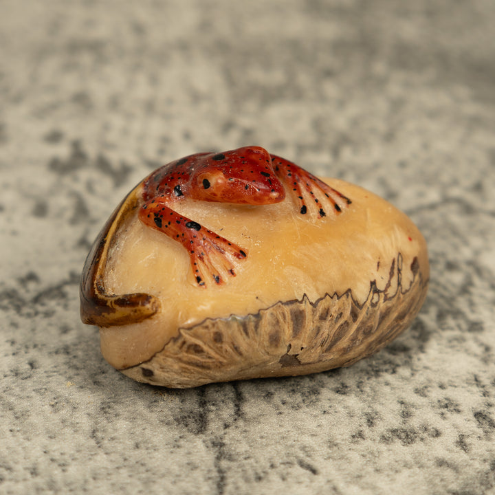 Vintage Poison Dart Frog Under Leaf Tagua Carving