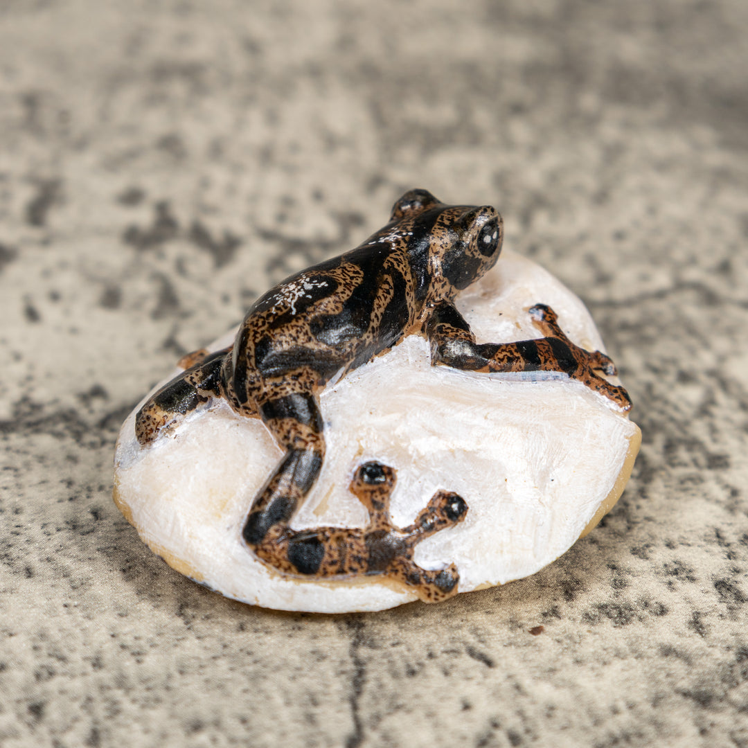 Black And Gold Poison Dart Frog Tagua Carving