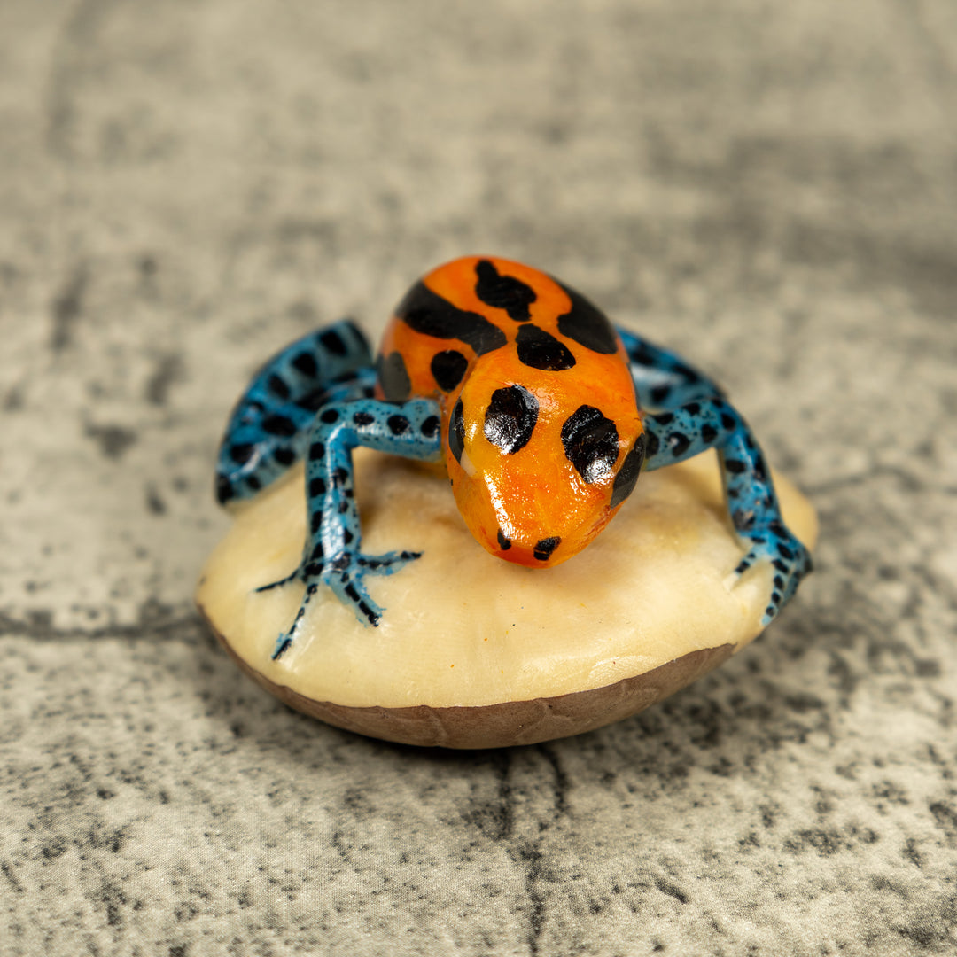 Blue Orange And Black Poison Dart Frog Tagua Carving