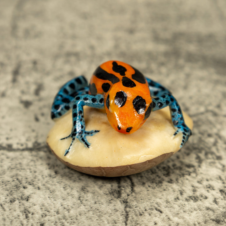 Blue Orange And Black Poison Dart Frog Tagua Carving