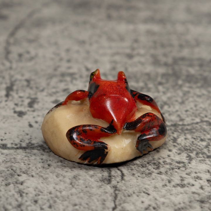 Vintage Red And Black Poison Dart Frog Tagua Carving